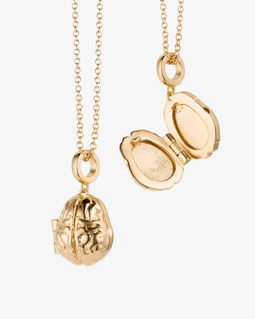 Brain Locket Necklace